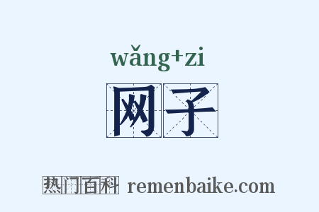 网子是什么意思的图片